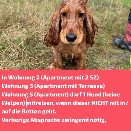 Haus Meerle Lägenhet